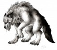 /album/fenykepgaleria/werewolf-by-lintufriikki-jpg1/